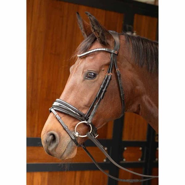 Harry´s Horse Rosegold Lacque Ii Tygel Cob