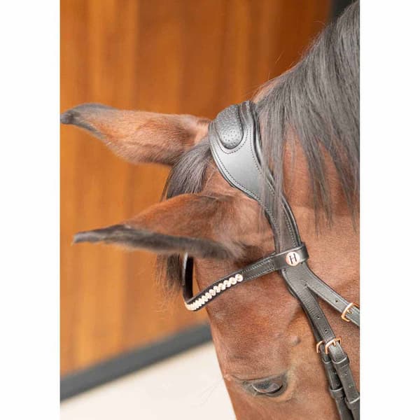 Harry´s Horse Rosegold Lacque Ii Tygel Cob