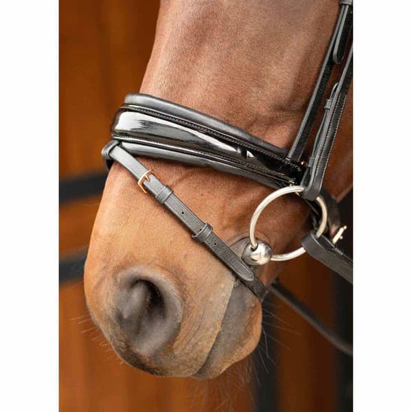 Harry´s Horse Rosegold Lacque Ii Tygel Cob