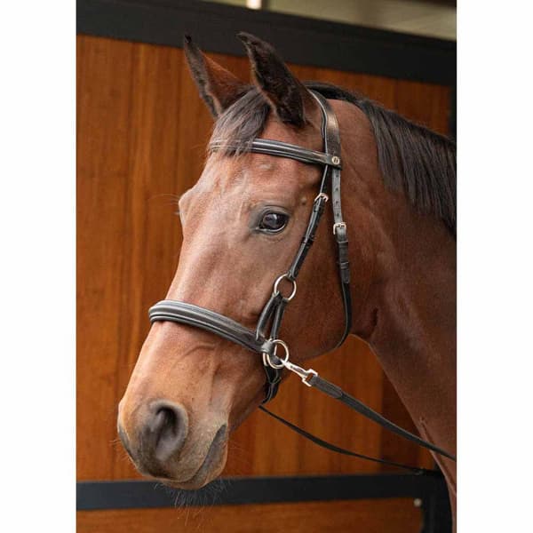 Harry´s Horse Sidepull-hovedlag Cob