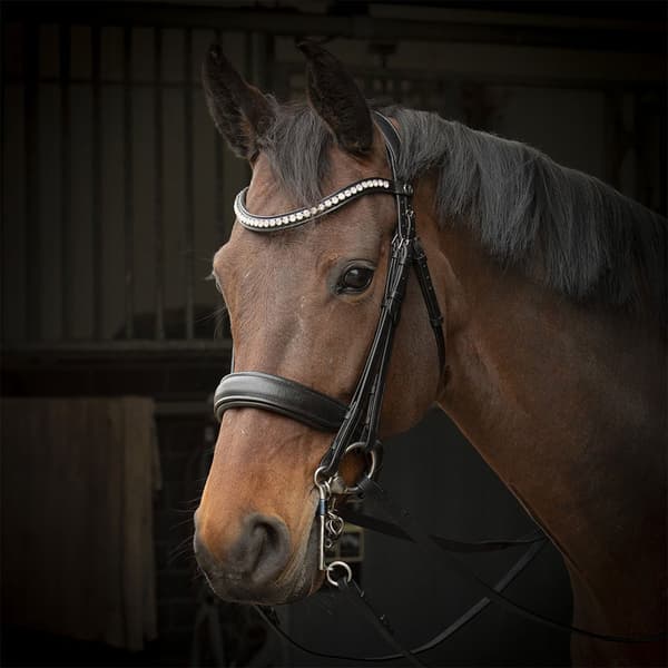 Harry´s Horse Soft Crystal Weymouth-tränsbett  Full