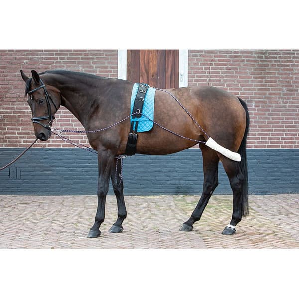 Harry´s Horse Harjoitteluapu  Full