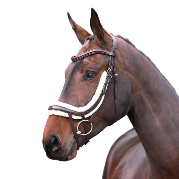Velociti Rapida Fleece Lined Leather Curved Horse Flash Noseband