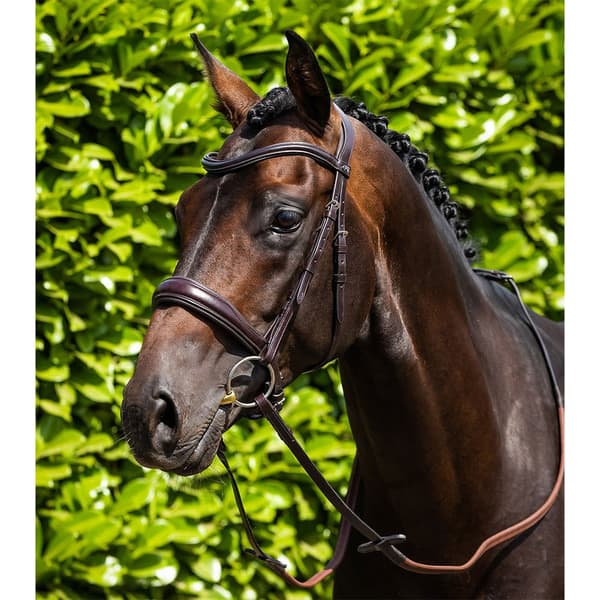 Premier Equine Verdura Anatomic Snaffle Tygel Brun Cob