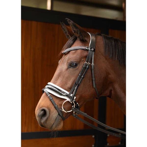 Harry´s Horse Chique Tøjle Sort Pony