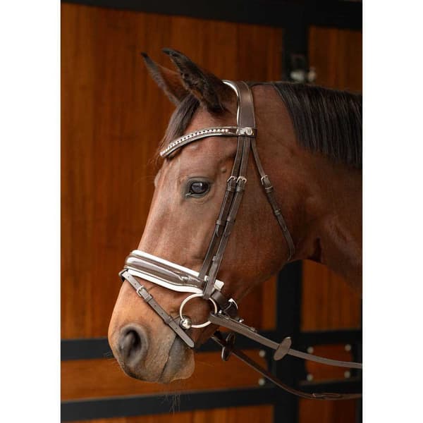 Harry´s Horse Chique Tygel Brun Full