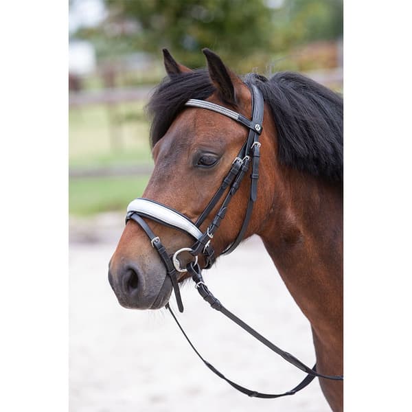 Harry´s Horse Diva Stella Tøjle Shetland