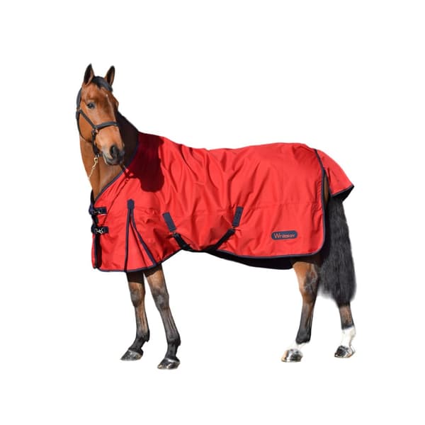 Whitaker Rastrick Standard-Neck Horse Turnout Rug