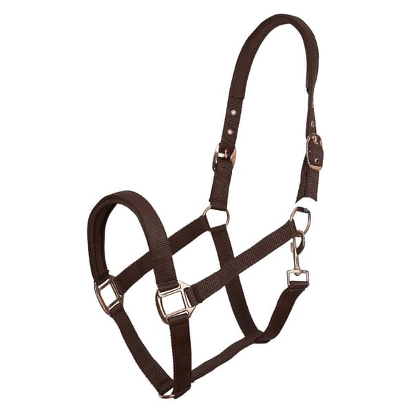 Imperial Riding IRHClassic Sport Horse Headcollar