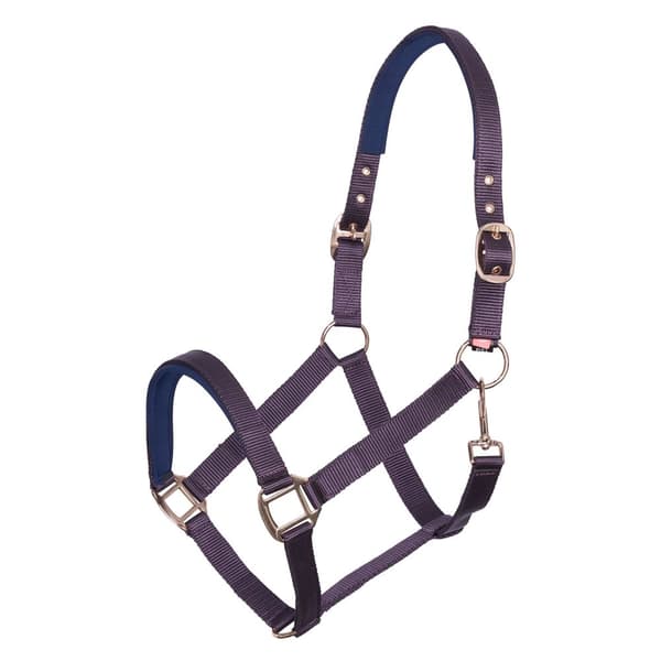 Imperial Riding IRHClassic Sport Horse Headcollar