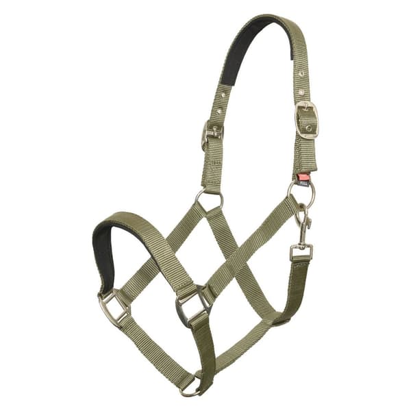 Imperial Riding IRHClassic Sport Horse Headcollar
