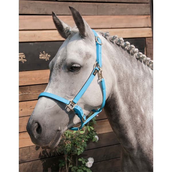 T.de.t Biotack® Halter  Full