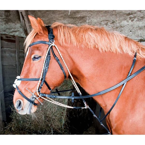 T.de.t Gogue Tøjler  Pony