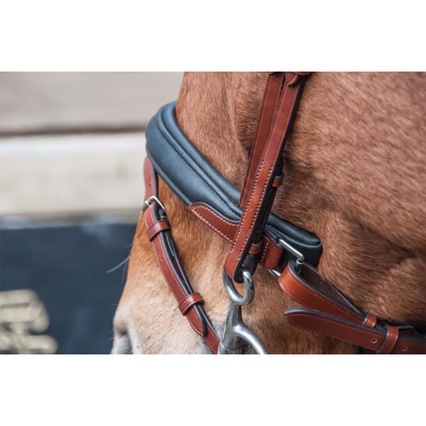 T.de.t Lautrec Suitset  Pony