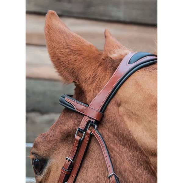 T.de.t Lautrec Suitset  Pony