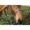 Pikkukuva 3 / 3: T.de.t Ribera Suitset  Cob
