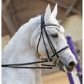 Pikkukuva 1 / 3: T.de.t Ribera Suitset  Cob
