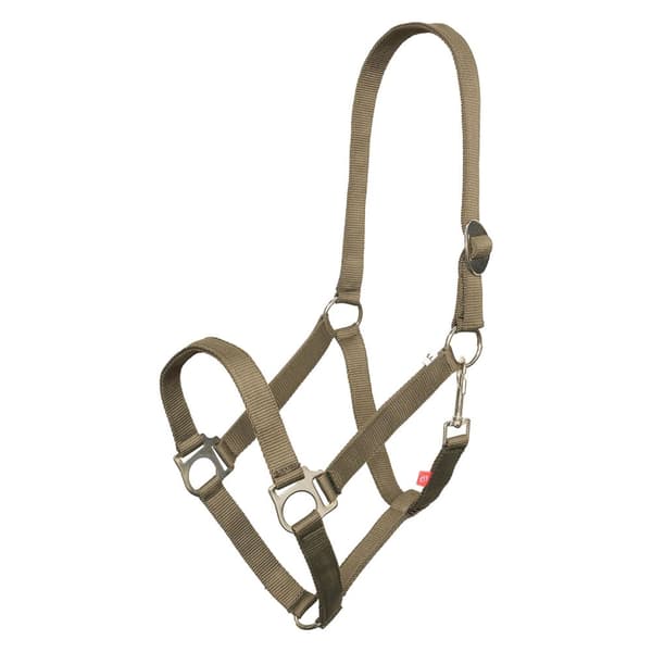 Imperial Riding IRHEconomic Horse Headcollar