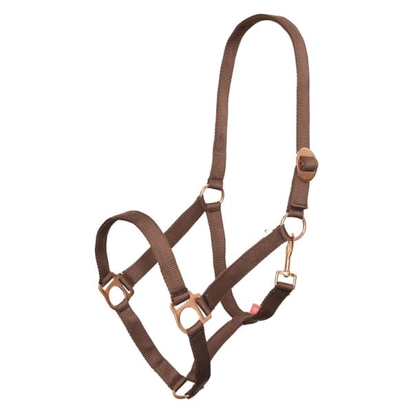 Imperial Riding IRHEconomic Horse Headcollar