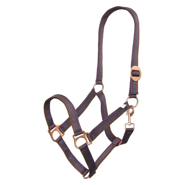 Imperial Riding IRHEconomic Horse Headcollar