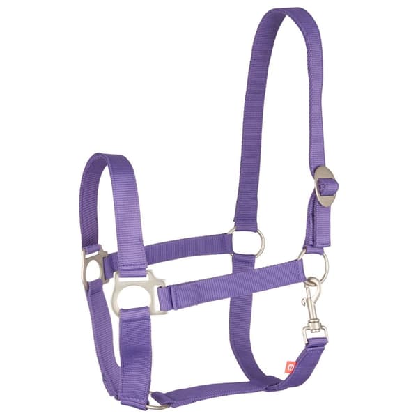Imperial Riding IRHEconomic Horse Headcollar