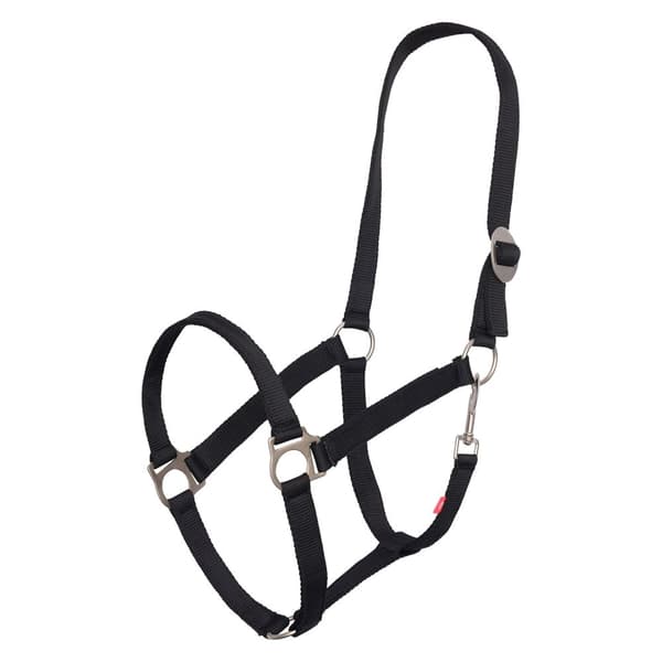 Imperial Riding IRHEconomic Horse Headcollar