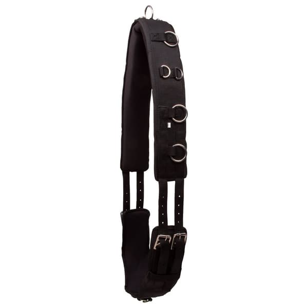 Imperial Riding IRHDeluxe Nylon Horse Lunging Girth
