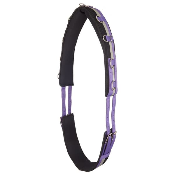 Imperial Riding IRHDeluxe Nylon Horse Lunging Girth