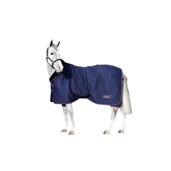 Whitaker Rastrick Horse Stable Rug