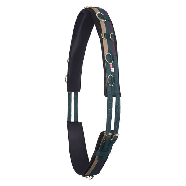 Imperial Riding IRHDeluxe Nylon Horse Lunging Girth Multicoloured/Forest Green Full