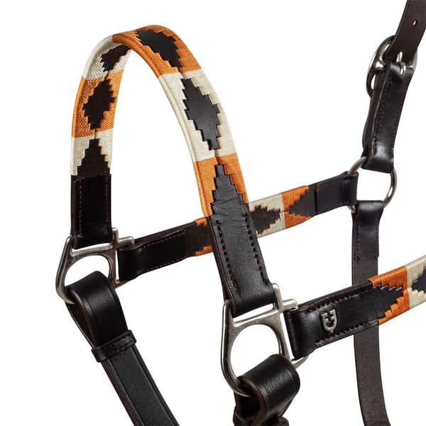 Equestro Polo N Halter  Cob