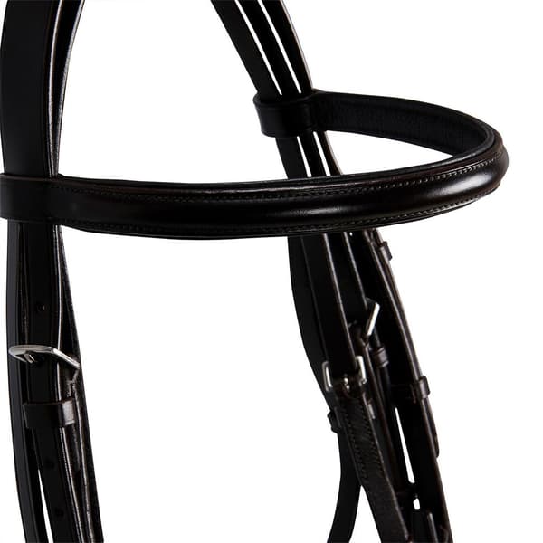 Equestro Briglia Dressage Halter  Cob