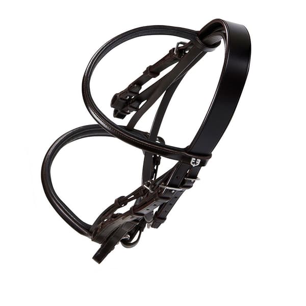 Equestro Briglia Dressage Halter Cob