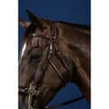 Miniatyrbillede 2 af 2: Dyon Us Collection Hackamore Kindstykker Søvfarvet Cob