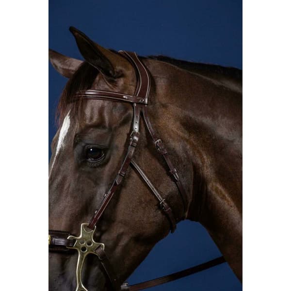 Dyon Us Collection Hackamore Kindstykker Søvfarvet Cob