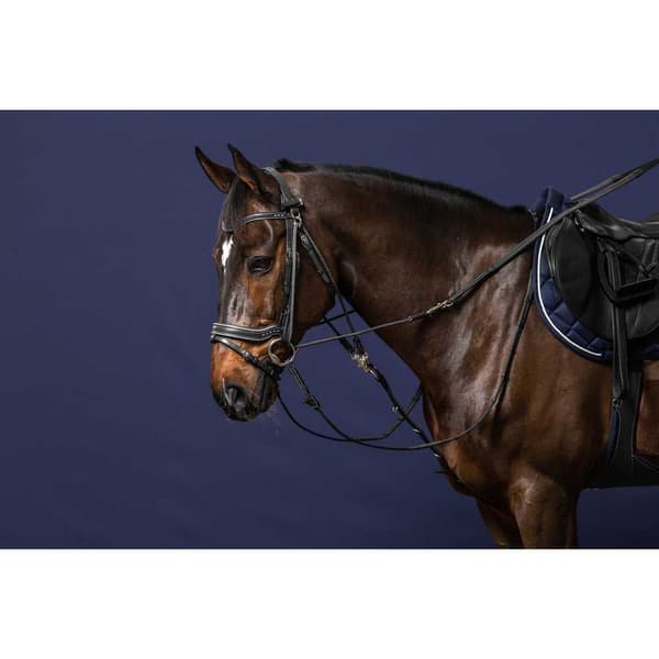 Dyon Gogue Reins Working Collection Silver Cob