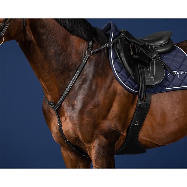 Dyon Us Collection Brobrystpanser  Cob