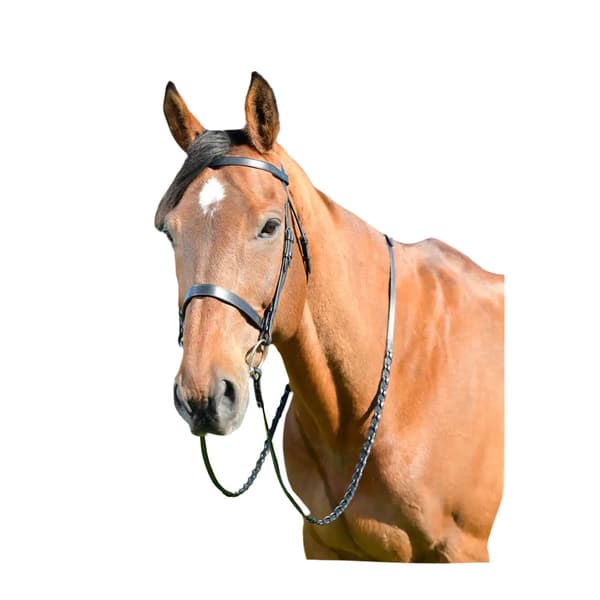 Kincade Klassiskt läder häst Flat Hunt träns med tyglar Black Full