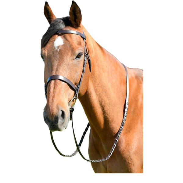 Kincade Klassiskt läder häst Flat Hunt träns med tyglar
