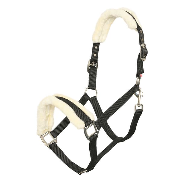 Imperial Riding IRHClassic Horse Headcollar