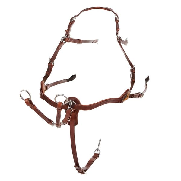 Acavallo Calfskin Five-point Rintapanssari  Cob