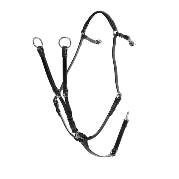 Acavallo Calfskin Three-point Brystpanser  Cob