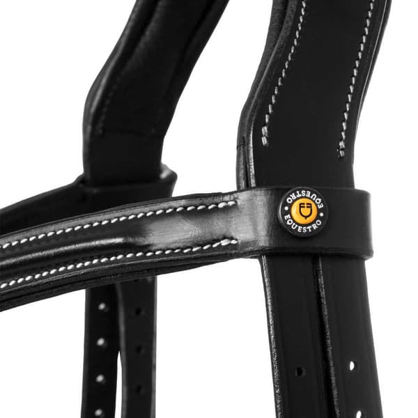 Equestro Allegoria Mexican Suitset  Cob
