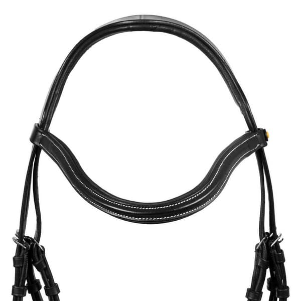 Equestro Allegoria Mexican Suitset  Cob
