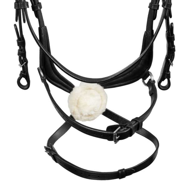 Equestro Allegoria Mexican Tygel  Full