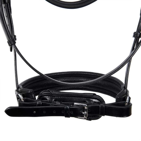 Equestro Dressage Tygel  Full