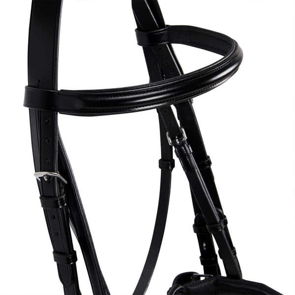 Equestro Dressage Smooth Suitset  Extra Full