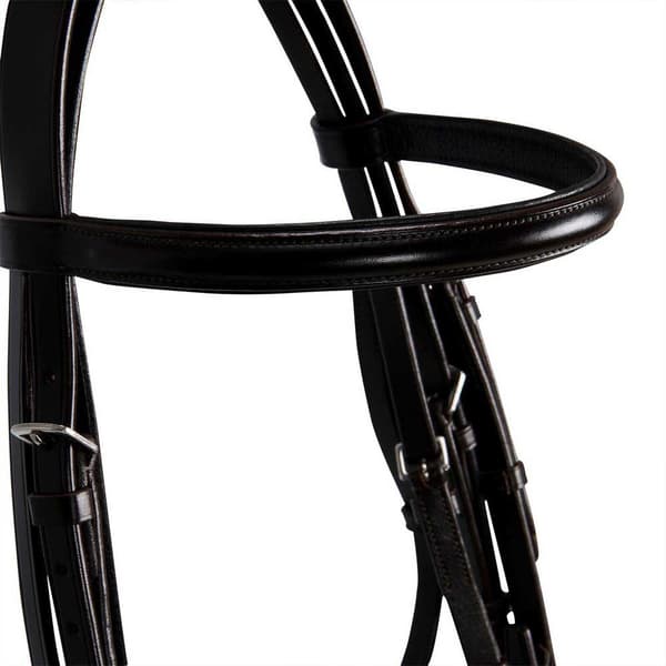 Equestro Dressage Smooth Tygel  Cob