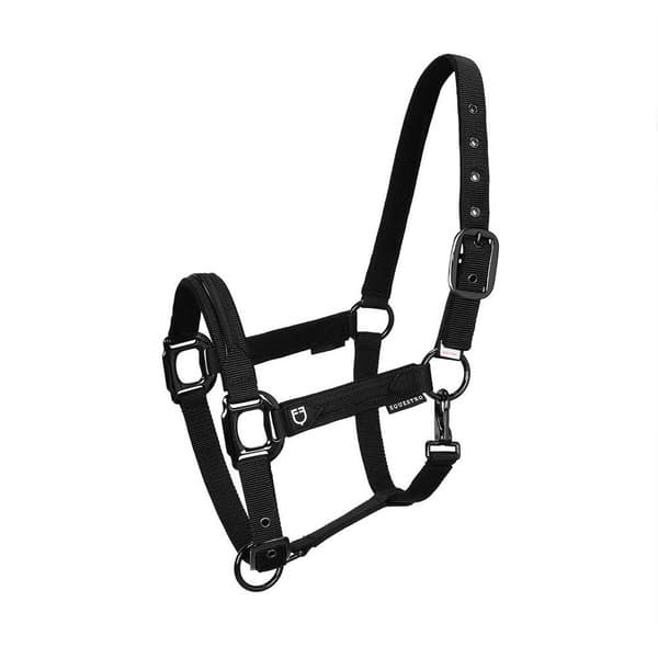Equestro Elegance Grime Og Førerem  Coby