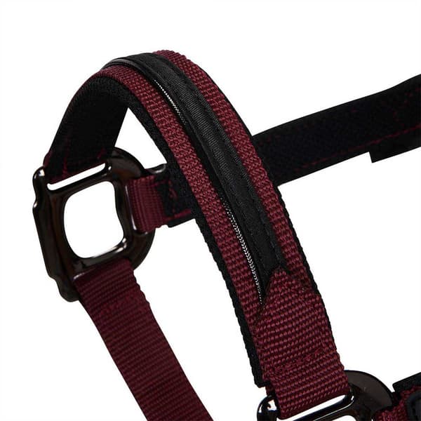 Equestro Elegance Grime Og Førerem  Coby